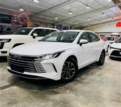 بي واي دي ديستروير 05